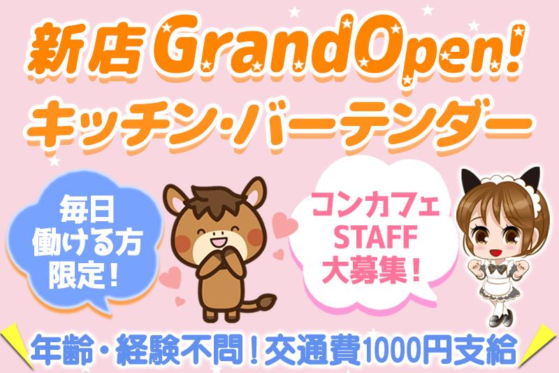 ハーピー