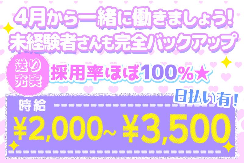 学生さんや20代の方中心で活躍中!!採用率ほぼ100%採用中