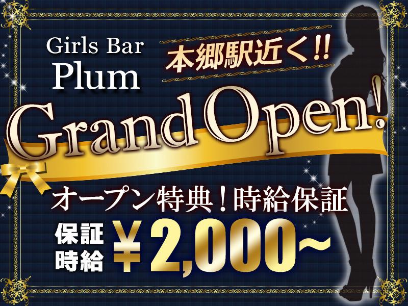 ガールズバー Plum